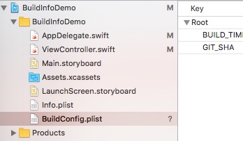 iOS-Build-Info-5
